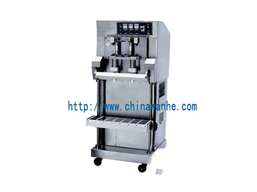 DZQ-600L vacuum gas-filling packaging machine